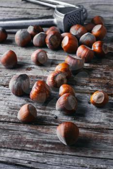 Autumn harvest walnuts and hazelnuts.Photo tinted