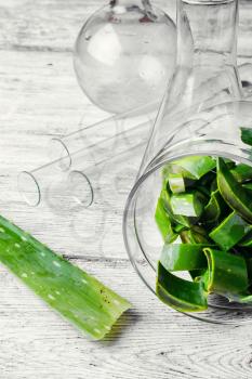 Manufacture of natural cosmetic products from the extract of fresh aloe leaf