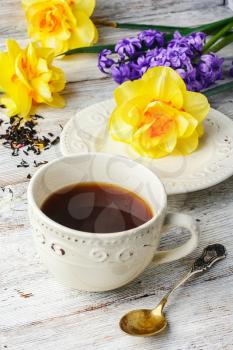 Cup of tea on saucer and fresh flowers tulips and daffodils