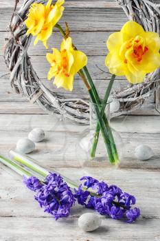 Composition with narcissus,hyacinth, and white Easter eggs