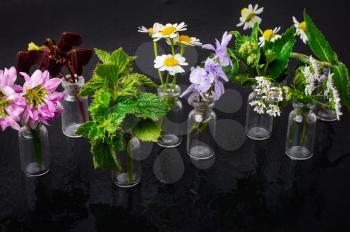 Small glass bottles with medicinal plants and flowers on a dark background