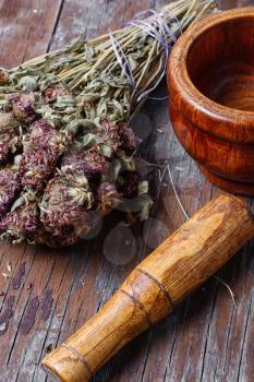 Dried medicinal plant and wooden mortar with pestle