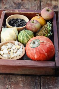 Wooden box with autumn harvest decorative pumpkins and pumpkin seeds