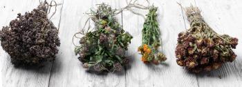 Dried healing plants on wooden background for recipes
