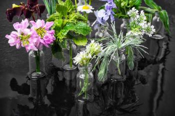 Herbs and blossoms in small glass bottles on dark background