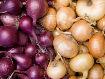Agricultural background, a pile of beautiful bulb onions