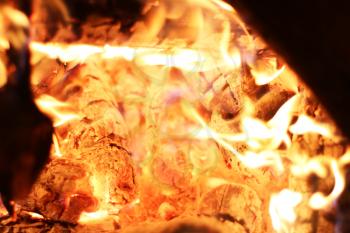 Burning log fire in night heat fireplace. Closeup flame. Barbecue coal blazing