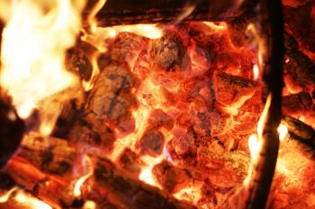 Closeup fire. Burning log flame heat fireplace. Barbecue coal blazing