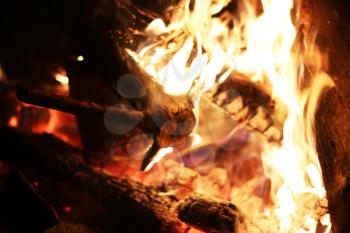 Burning log fire heat nice fireplace. Closeup flame. Barbecue coal blazing