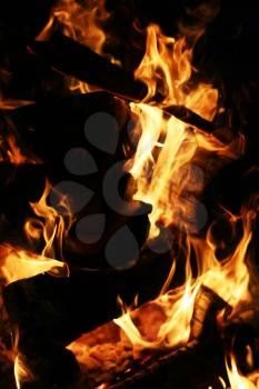 Closeup burning log fire in fireplace. Barbecue coal blazing flame