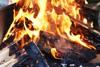 Barbecue blazing log fire. Burning fireplace. Closeup flame