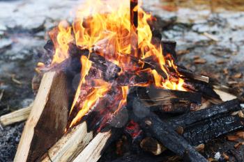 Burning big log fire in fireplace. Closeup flame. Bonfire campfire
