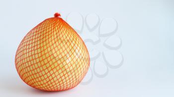 Citrus maxima. Pomelo fruit on white background. Pomela in orange grid
