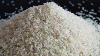Pile of rice or wholegrain spill on black background. Agriculture food raw seed. Closeup macro photo