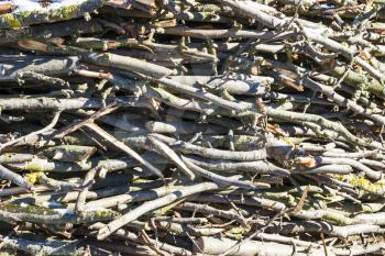 Chopped firewood branches in sunlight. Wood and tree folded background