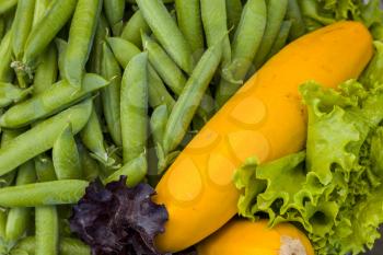 Lettuce green peas and yellow squash. Vegetable diet plant. Vegan food ingredient