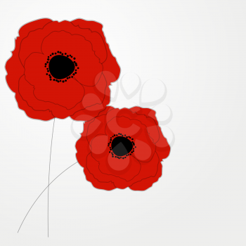 Red Poppies Flower on Background Vector Illustration.