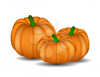 Fresh Orange Pumpkin Isolated on White Background Vector Illustration
