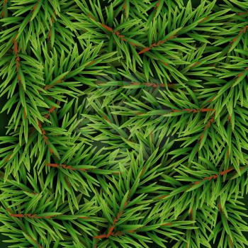 Realistic Fir Branches Background, Christmas Tree, Pine. Vector Illustration EPS10