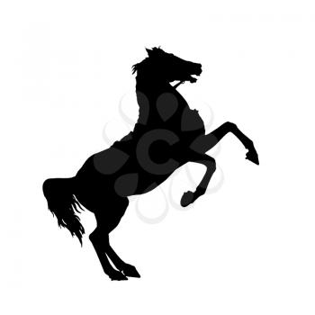Isolated on white rearing up wild horse detailed black silhouette