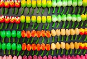 Traditional colorful tulip flower magnets hanging on souvenir shop counter in Amsterdam