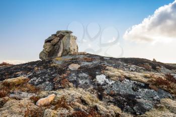 Stone cairn as a navigation mark on the top of Norwegian rock
