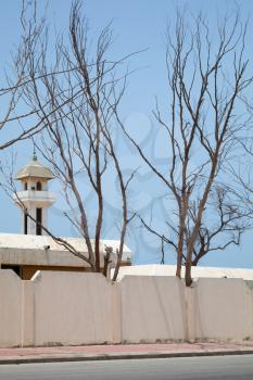 Old mosque and dry trees in Saudi Arabia