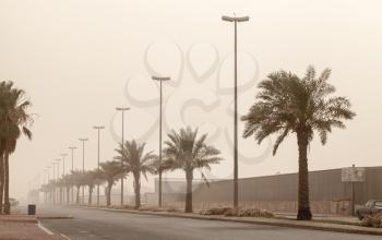 Dust storm on the street view palms, Saudi Arabia