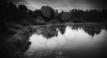 Still lake black and white landscape at night. cloudy sky and dark trees silhouettes reflected in water. Ladoga, Russia