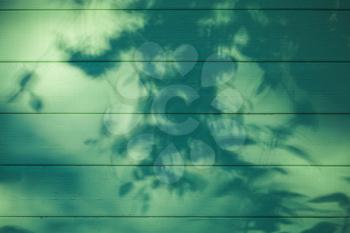Green wooden wall with branches shadow pattern, background photo texture