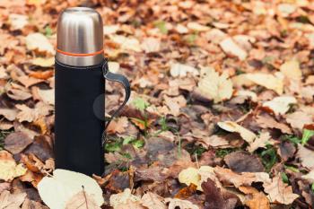 Stainless steel vacuum tourist thermos stands on fallen autumn leaves