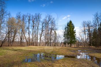 Russian rural landscape with puddles of water on glade in spring sunny day