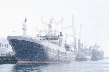 Industrial trawler ships stand moored in port of Reykjavik in cold snowy winter day, Iceland
