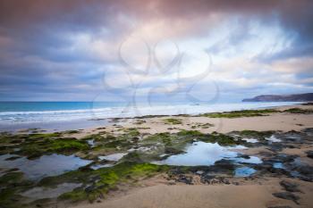 Wet coastal stones with seaweed on the beach of Porto Santo island, Madeira archipelago, Portugal