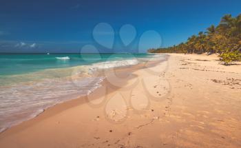 Sandy beach landscape. Caribbean Sea, Dominican republic, Saona island coast, popular touristic resort