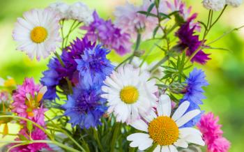 Bright colorful summer flowers bouquet on green blurred background