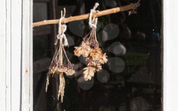 Dry bouquets hanging behind the window in Finland