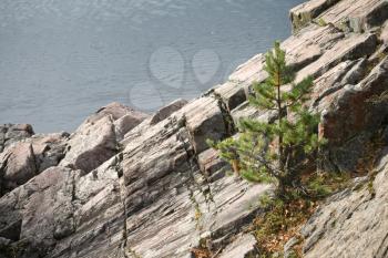Rocks on coast of Vuoksa river (Finland) with small pine
