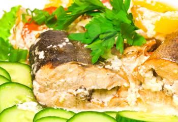 Seafood theme. Pink salmon baked in cream with vegetables and greens on white plate, closeup photo