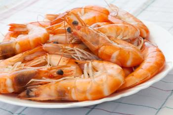 Pile of prepared shrimps on the plate