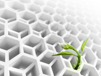 Little green flower sprout  grows through abstract white modern honeycomb structure