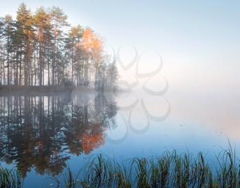 Still lake landscape with fog in cold autumn morning