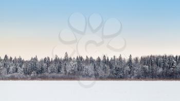Wide empty panoramic background landscape with coastal forest on frozen lake in winter season, Karelia, Russia