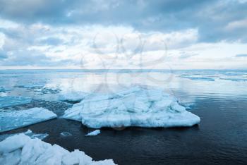 Winter coastal landscape with floating big ice fragments on still sea water. Gulf of Finland, Russia. Blue toned photo