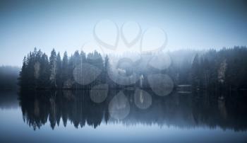 Blue toned photo. Autumnal landscape with threes on a coast, fog and still lake