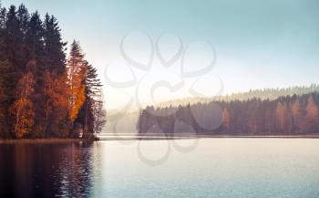 Autumnal landscape with threes on a coast, fog and still lake, colorful tonal filter photo correction