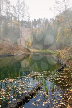 Foggy early morning on the pond with floating autumnal leaves in water