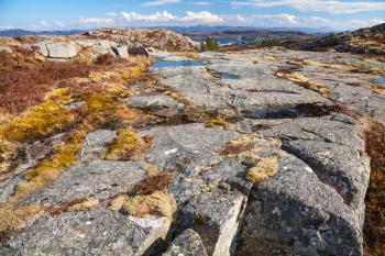 Norwegian mountains, wild landscape with colorful moss growing on gray rocks
