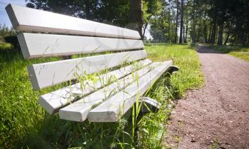 White park bench with grass growing through