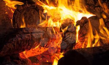 Burning wood, campfire macro photo